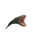 [アレンジ用]深海生物どう使う？（個別スタンプ：13）
