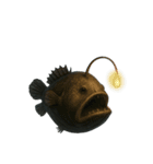 [アレンジ用]深海生物どう使う？（個別スタンプ：14）
