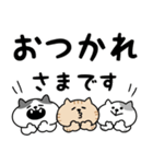 ねこがいっぱいのスタンプ4 でか文字（個別スタンプ：6）