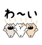 ねこがいっぱいのスタンプ4 でか文字（個別スタンプ：24）