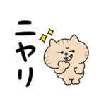 ねこがいっぱいのスタンプ4 でか文字（個別スタンプ：25）