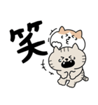 ねこがいっぱいのスタンプ4 でか文字（個別スタンプ：28）