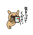 みんなのフレンチブルドッグ【夏】（個別スタンプ：12）
