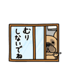 みんなのフレンチブルドッグ【夏】（個別スタンプ：35）