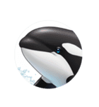 イルカクジラシャチカプセルトイ（個別スタンプ：11）