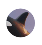 イルカクジラシャチカプセルトイ（個別スタンプ：12）