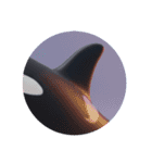 クジライルカシャチカプセルトイ（個別スタンプ：6）