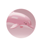 クジライルカシャチカプセルトイ（個別スタンプ：16）