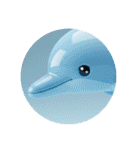 イルカクジラシャチプレミアムカプセルトイ（個別スタンプ：5）