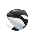 イルカクジラシャチプレミアムカプセルトイ（個別スタンプ：11）