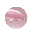 イルカクジラシャチプレミアムカプセルトイ（個別スタンプ：31）