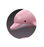 イルカクジラシャチプレミアムカプセルトイ（個別スタンプ：35）