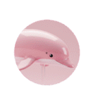 イルカクジラシャチプレミアムカプセルトイ（個別スタンプ：36）