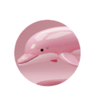 イルカクジラシャチプレミアムカプセルトイ（個別スタンプ：38）