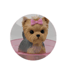 様々な動物のプレミアムセット（個別スタンプ：13）