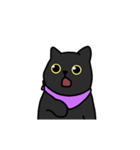 空虚の猫カカ（個別スタンプ：7）