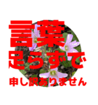 大文字スタンプ集合（個別スタンプ：3）