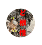 大文字スタンプ集合（個別スタンプ：4）