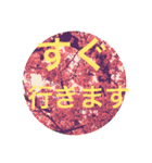 大文字スタンプ集合（個別スタンプ：5）