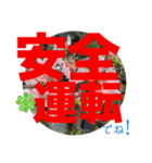 大文字スタンプ集合（個別スタンプ：10）