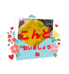 大文字スタンプ集合（個別スタンプ：16）
