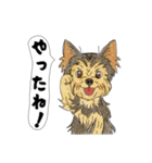 アクションk-gigi27（個別スタンプ：1）