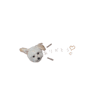 むぎ◡̈（個別スタンプ：1）