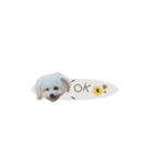 むぎ◡̈（個別スタンプ：3）