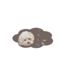むぎ◡̈（個別スタンプ：6）