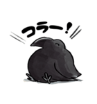 ブクブクカラス（個別スタンプ：25）