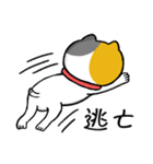 飼い猫ですから（個別スタンプ：4）
