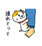 飼い猫ですから（個別スタンプ：10）