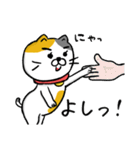飼い猫ですから（個別スタンプ：12）