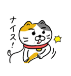 飼い猫ですから（個別スタンプ：24）