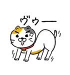 飼い猫ですから（個別スタンプ：35）