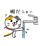 飼い猫ですから（個別スタンプ：40）