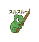 大きな目のカメレオン（個別スタンプ：11）