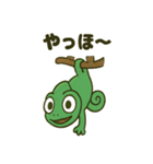 大きな目のカメレオン（個別スタンプ：16）