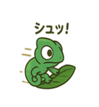 大きな目のカメレオン（個別スタンプ：18）