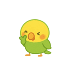 シンプルで伝わる、ゆるい日常インコ（個別スタンプ：1）