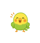 シンプルで伝わる、ゆるい日常インコ（個別スタンプ：2）