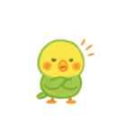 シンプルで伝わる、ゆるい日常インコ（個別スタンプ：8）