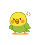 シンプルで伝わる、ゆるい日常インコ（個別スタンプ：9）