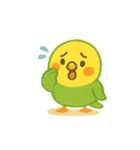シンプルで伝わる、ゆるい日常インコ（個別スタンプ：10）