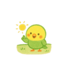 シンプルで伝わる、ゆるい日常インコ（個別スタンプ：12）