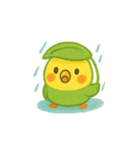 シンプルで伝わる、ゆるい日常インコ（個別スタンプ：14）