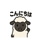かわいいサフォーク羊の日常スタンプ（個別スタンプ：1）