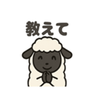 かわいいサフォーク羊の日常スタンプ（個別スタンプ：13）