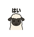 かわいいサフォーク羊の日常スタンプ（個別スタンプ：36）