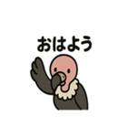 かわいいシュールなハゲタカの毎日（個別スタンプ：1）